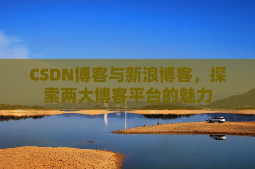 CSDN博客与新浪博客,探索两大博客平台的魅力